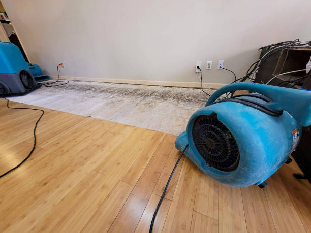 Professional Basement Flood Cleanup technician working in Dutton, AL